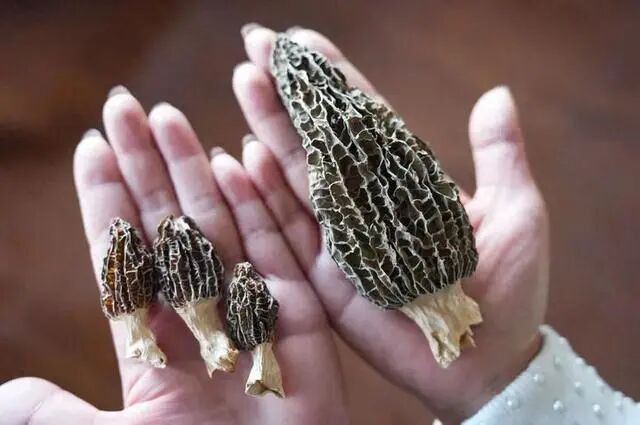 圖片關(guān)鍵詞